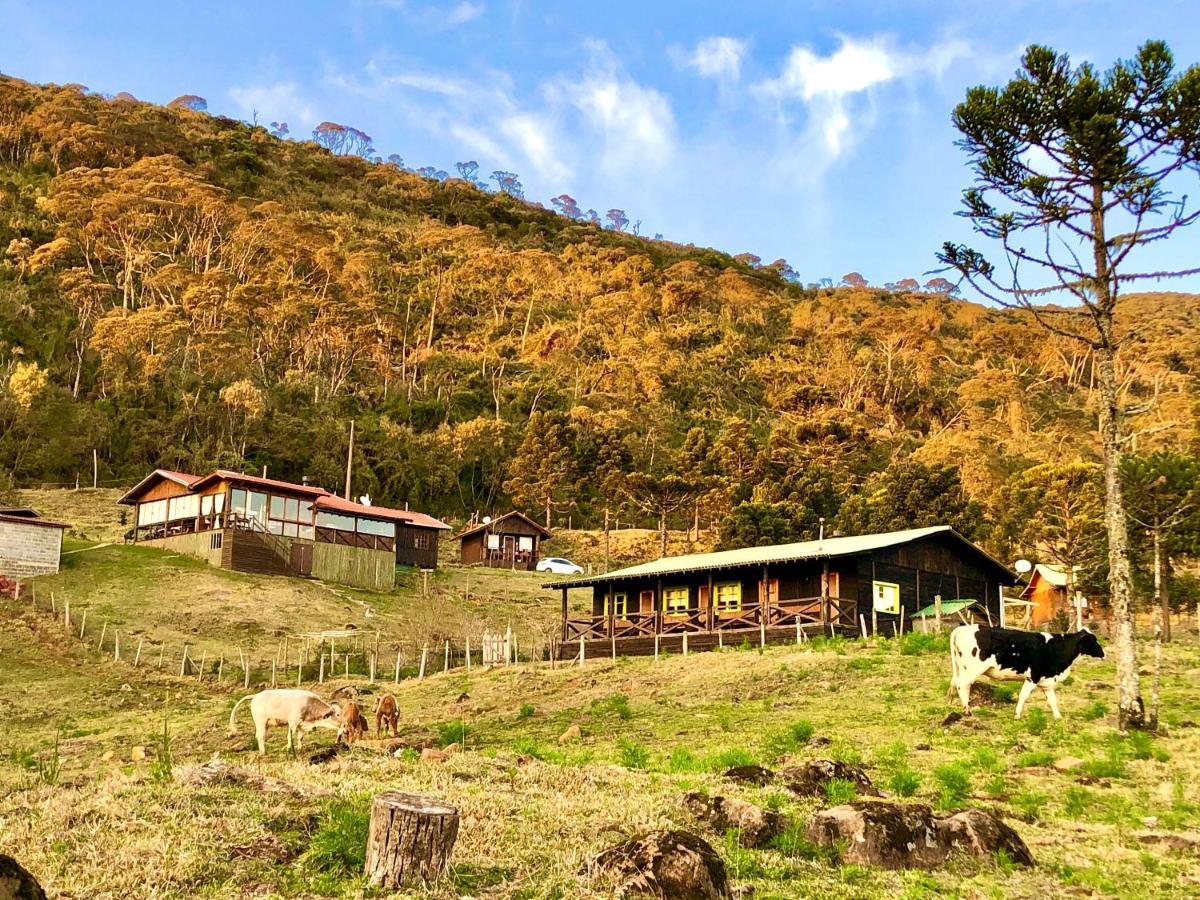 אורופימה Fazenda Morro Das Torres מראה חיצוני תמונה