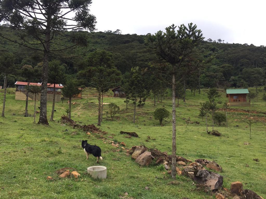 אורופימה Fazenda Morro Das Torres מראה חיצוני תמונה