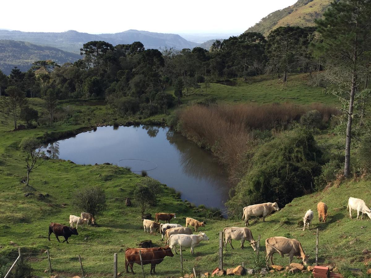 אורופימה Fazenda Morro Das Torres מראה חיצוני תמונה