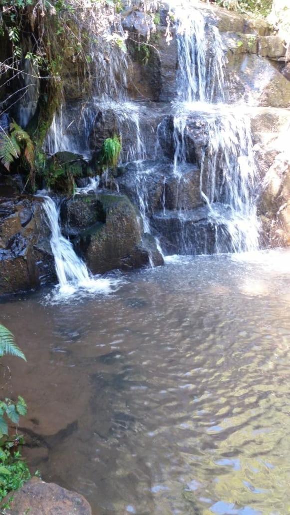 אורופימה Fazenda Morro Das Torres מראה חיצוני תמונה