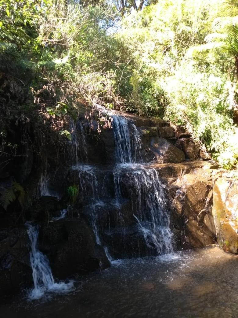 אורופימה Fazenda Morro Das Torres מראה חיצוני תמונה