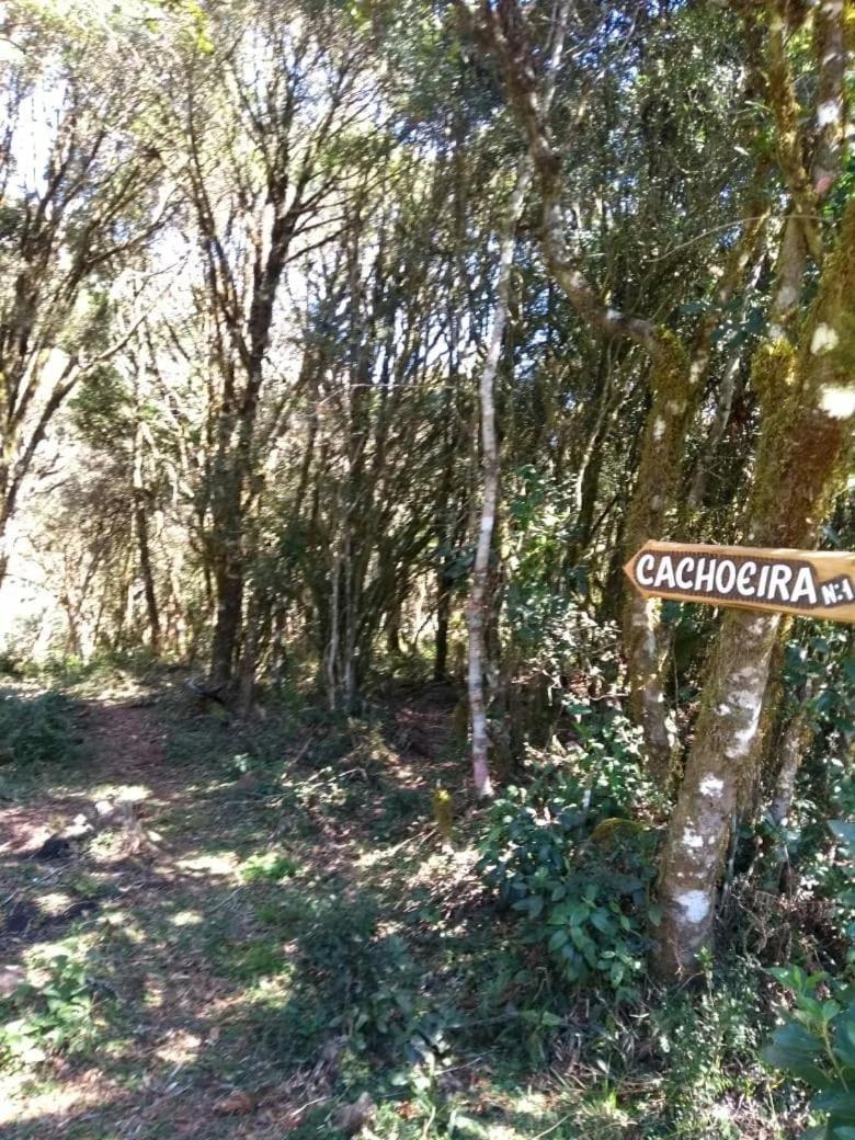 אורופימה Fazenda Morro Das Torres מראה חיצוני תמונה