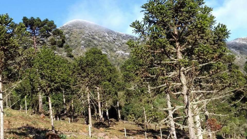 אורופימה Fazenda Morro Das Torres מראה חיצוני תמונה
