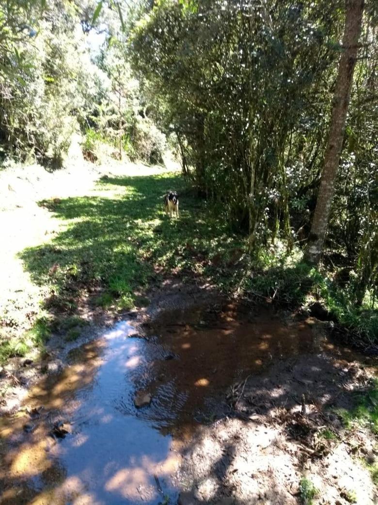 אורופימה Fazenda Morro Das Torres מראה חיצוני תמונה